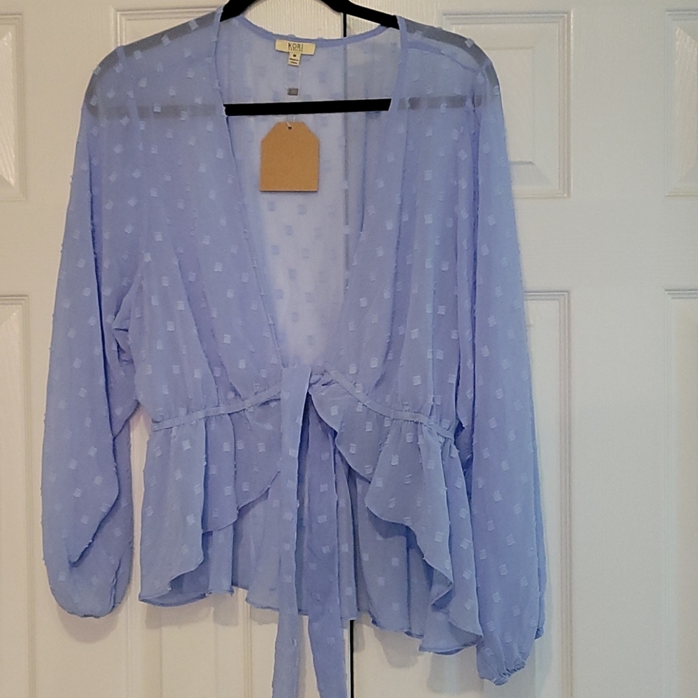 Sheer Top